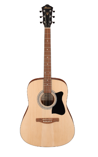 Ibanez Acoustic Steel String Guitar Pack