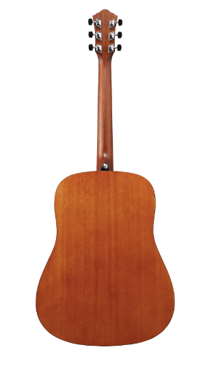 Ibanez Acoustic Steel String Guitar Pack
