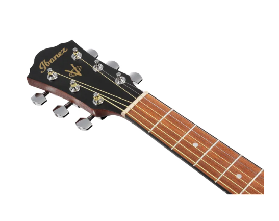 Ibanez Acoustic Steel String Guitar Pack