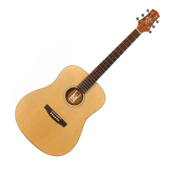 Ashton Acoustic Guitar